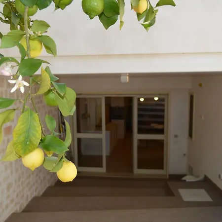 Casa vacanze La Nel Verde Conversano