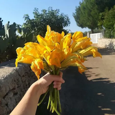Casa vacanze La Nel Verde Conversano